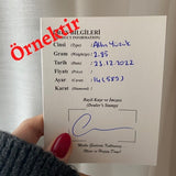 Dikey Madalyon Gümüş Harf Kolye No.24
